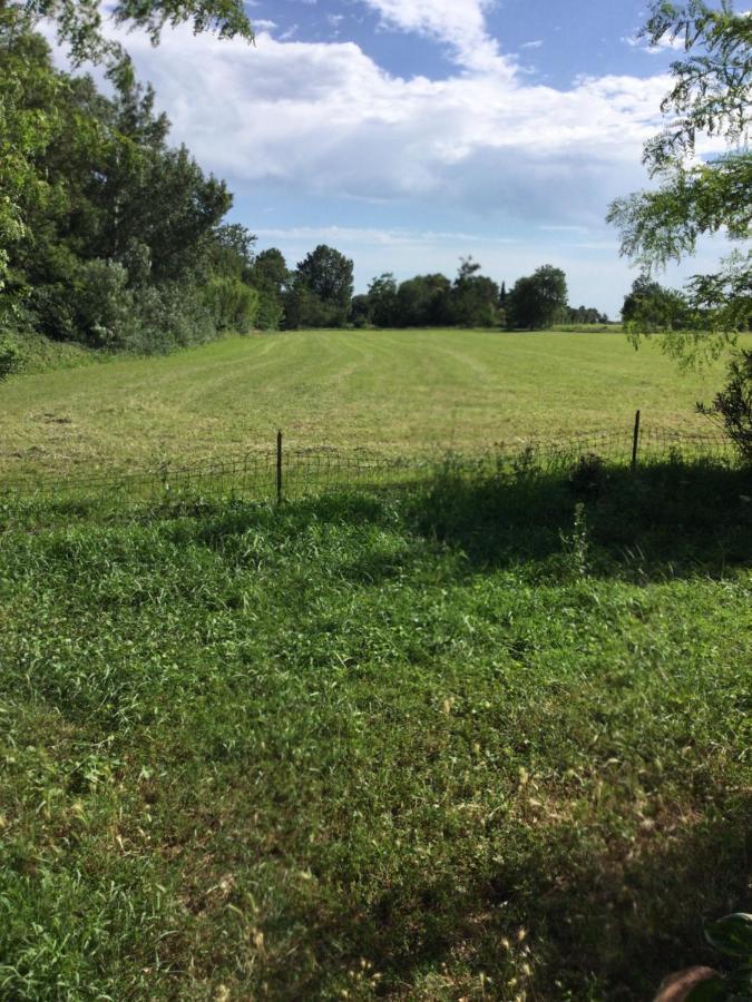 Appartement Dans Un Mas Provencal Istres Exteriör bild